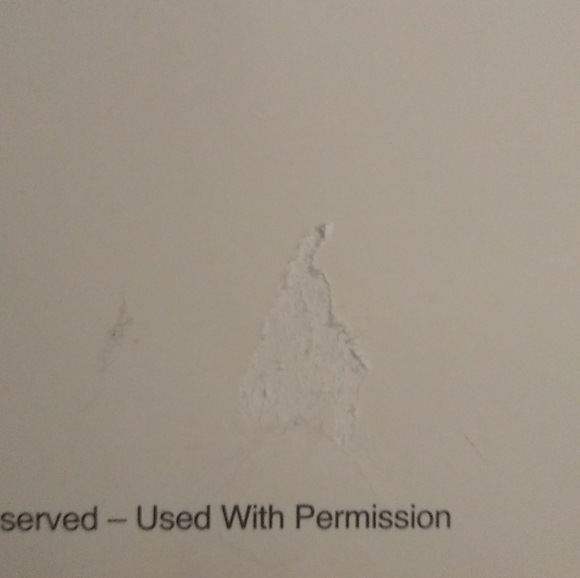 Rare Taylor Swift Speak Now 8x10 - Picture 6 of 7